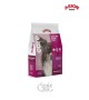 Arion Care Adult Hypoallergenic (25/15) 12kg - Adult, Monoproteico, Salmone